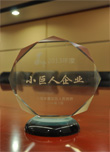 2013年小巨頭企業(yè)（獎(jiǎng)杯）.